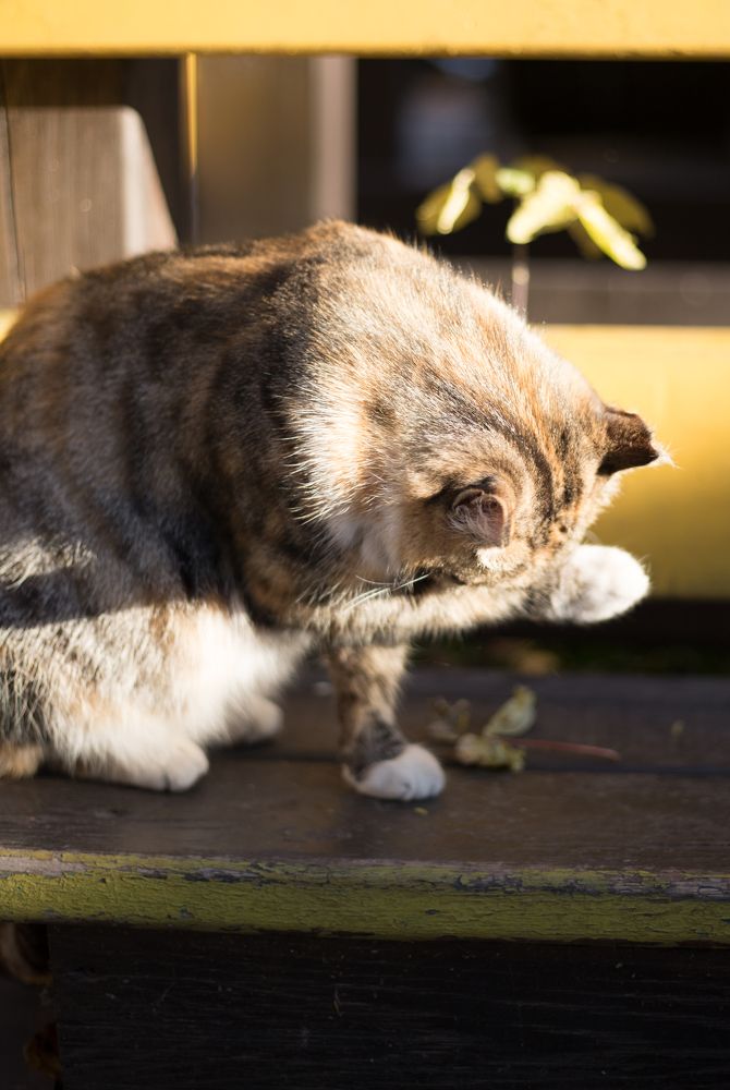 Photograph by Константин Искучеков