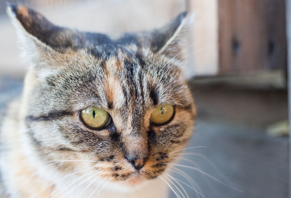 Photograph by Константин Искучеков