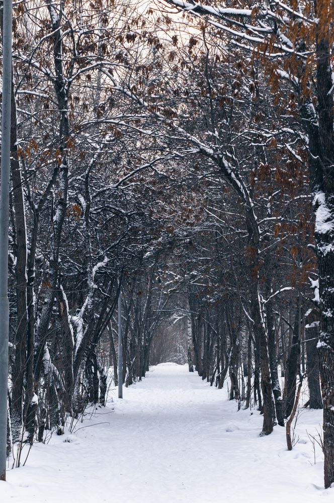 Photograph by Светлана Нестерова