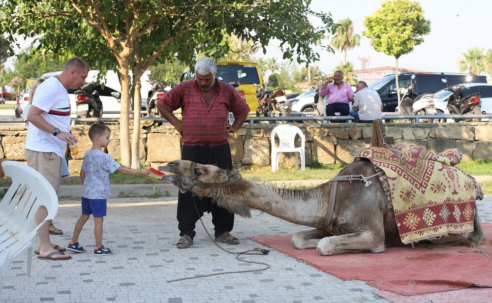 Photograph by Любовь Перевозникова