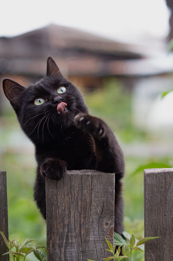 Photograph by Светлана Нестерова