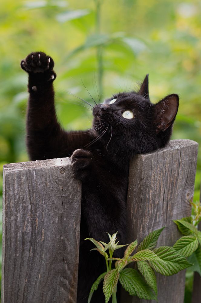 Photograph by Светлана Нестерова