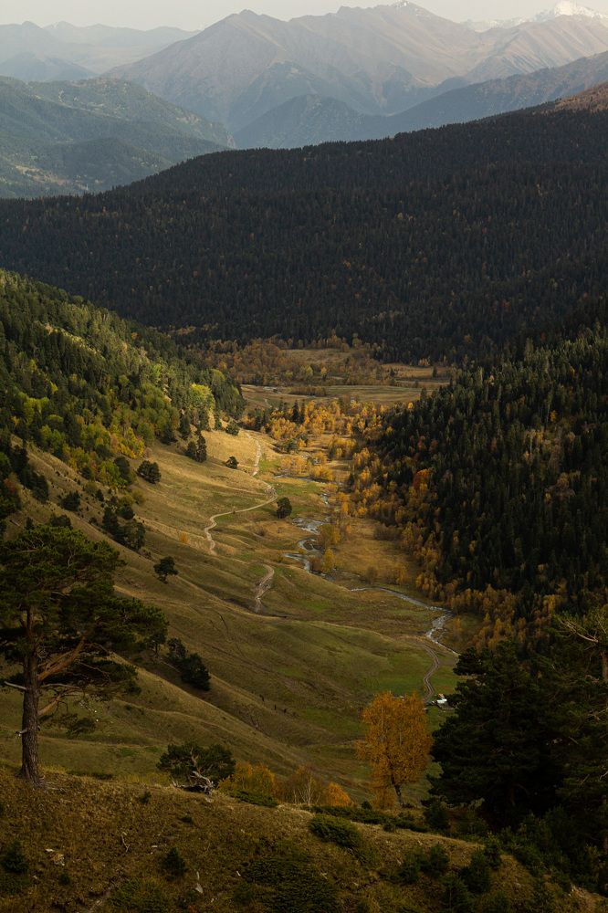 Photograph by Азалия