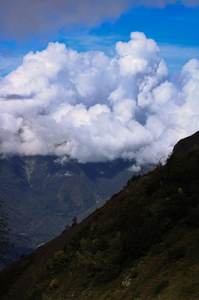 Photograph by Азалия