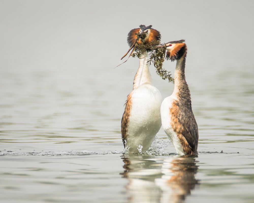 Фотография автора Суслов Дмитрий