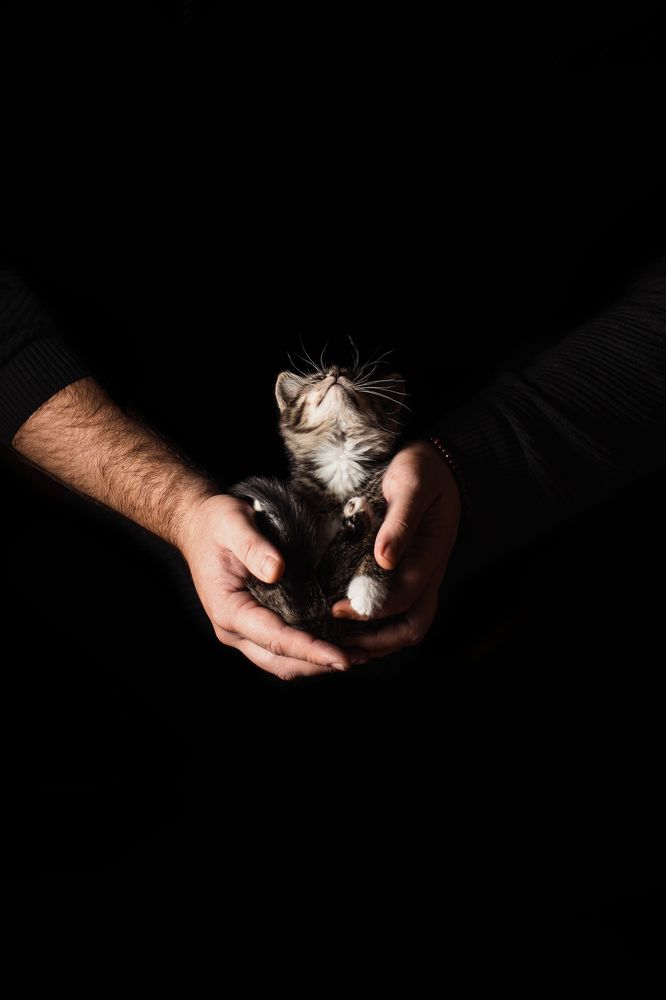 Photograph by Богдан Тарасов