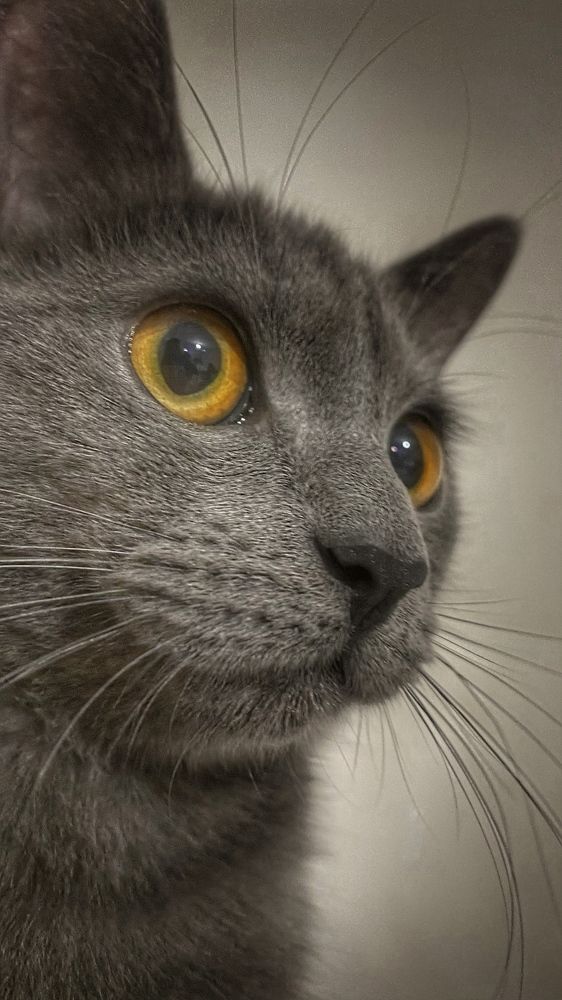 Photograph by Оксана Маракушина