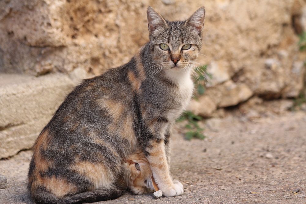 Photograph by Nadzeya