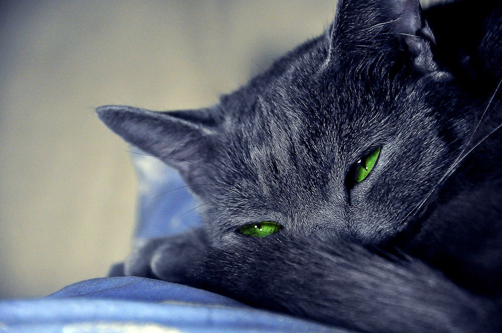 Photograph by БРОВКО АЛЕКСАНДР ИВАНОВИЧ