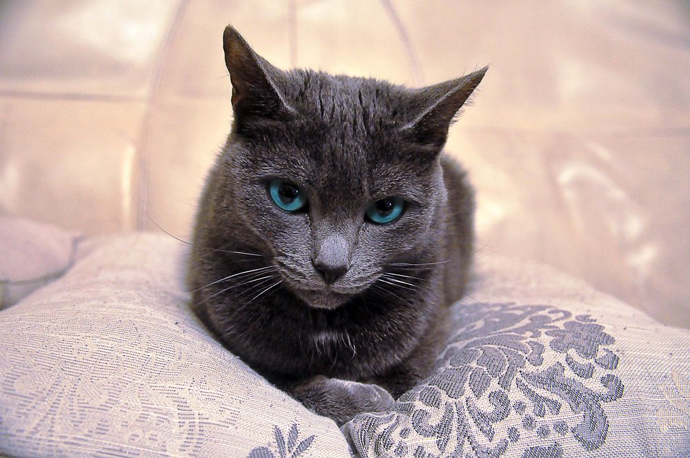 Photograph by БРОВКО АЛЕКСАНДР ИВАНОВИЧ