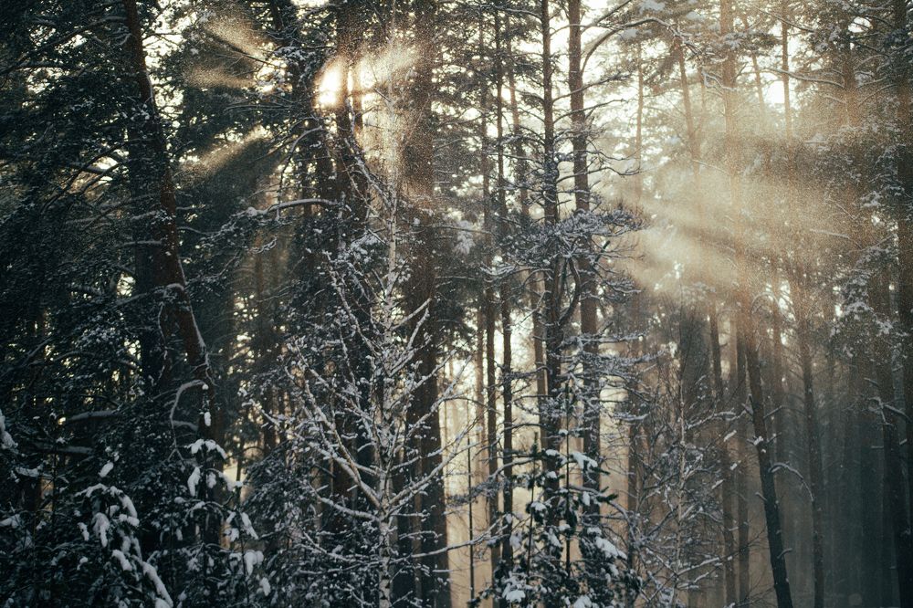 Photograph by Богдан Тарасов