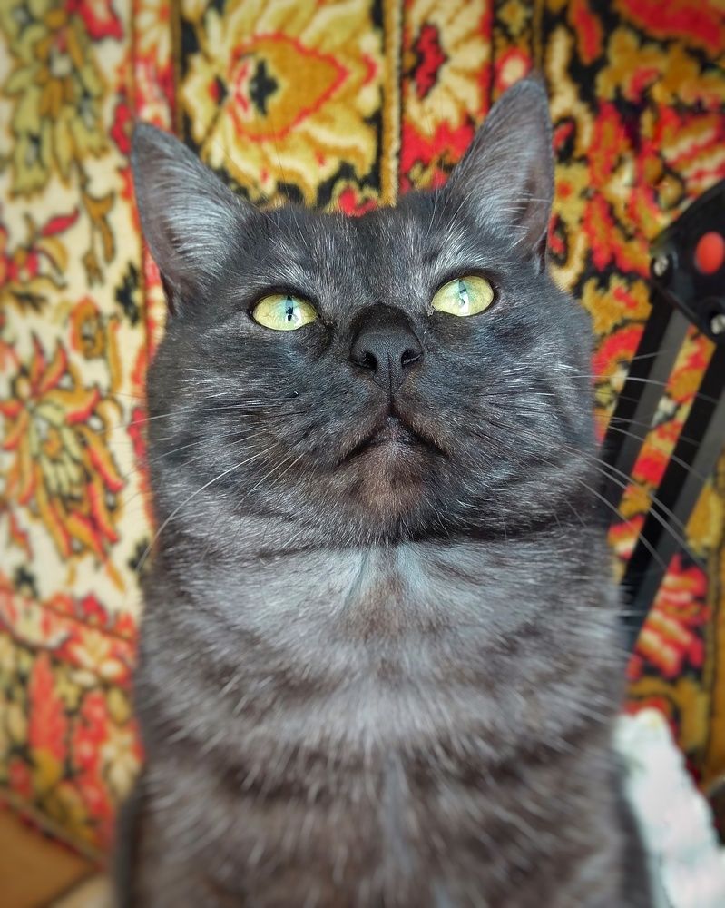 Photograph by Петр Поспелов