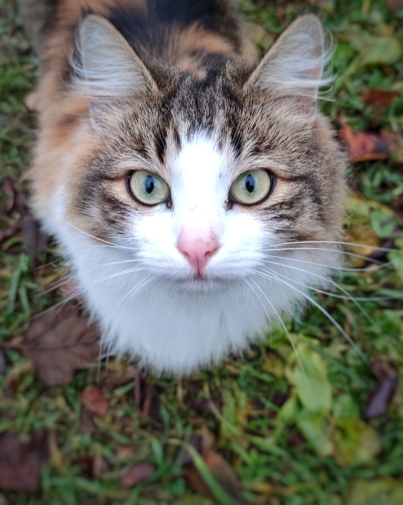 Photograph by Петр Поспелов