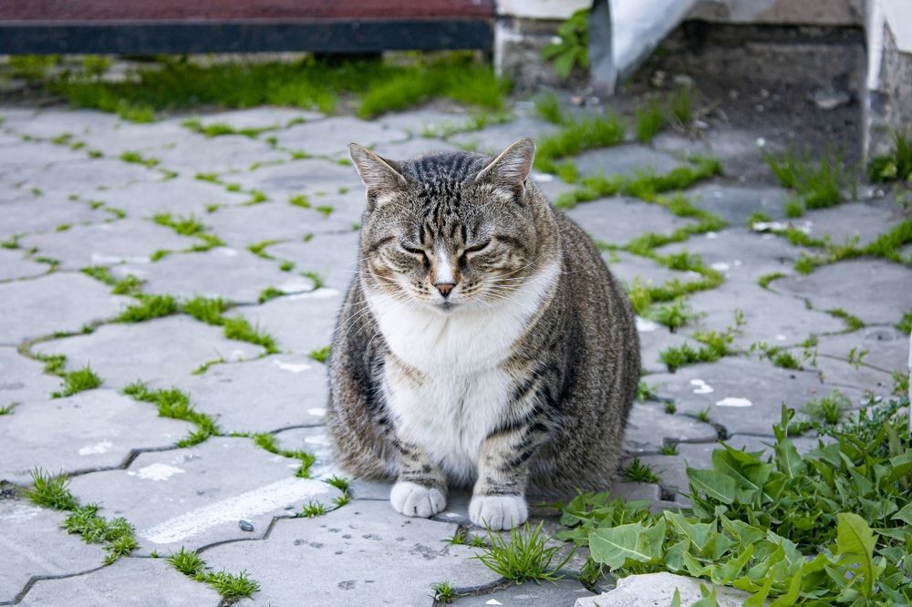 Photograph by Мия Такамацу