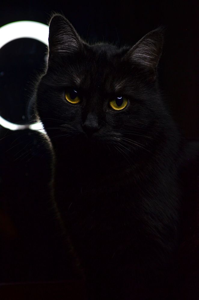 Photograph by Дарья Маркина