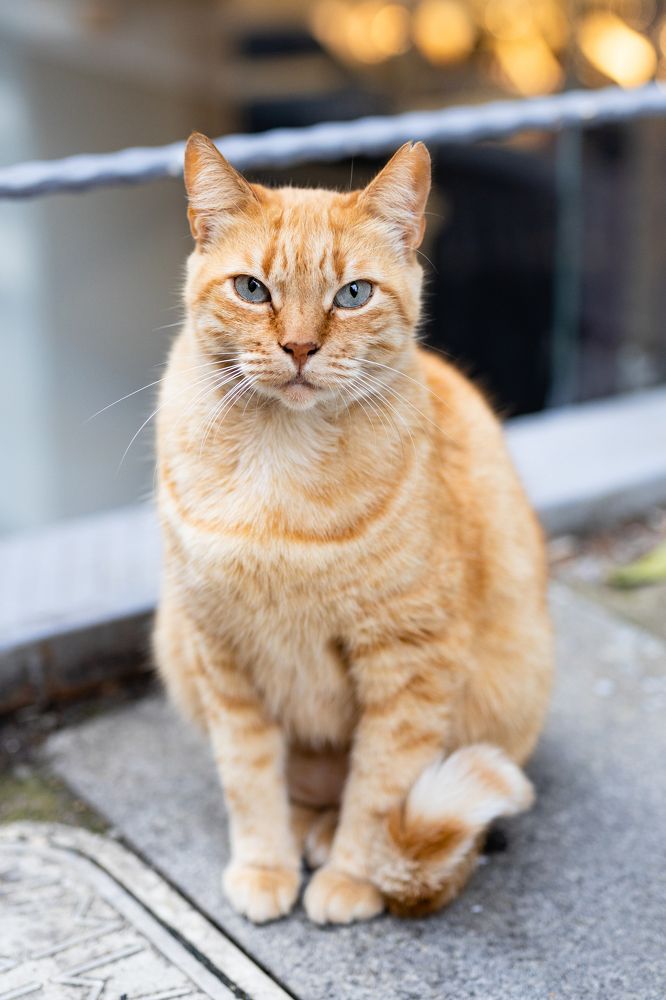 Photograph by Наталия Черкасова