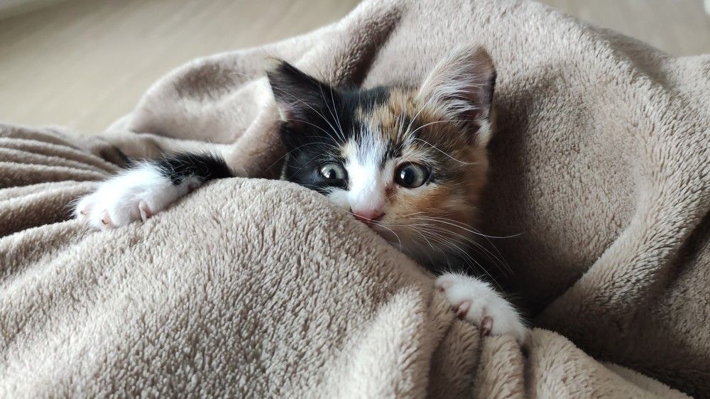 Photograph by Ольга Васильева