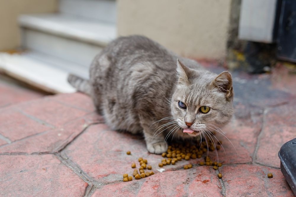 Photograph by Наталия Черкасова