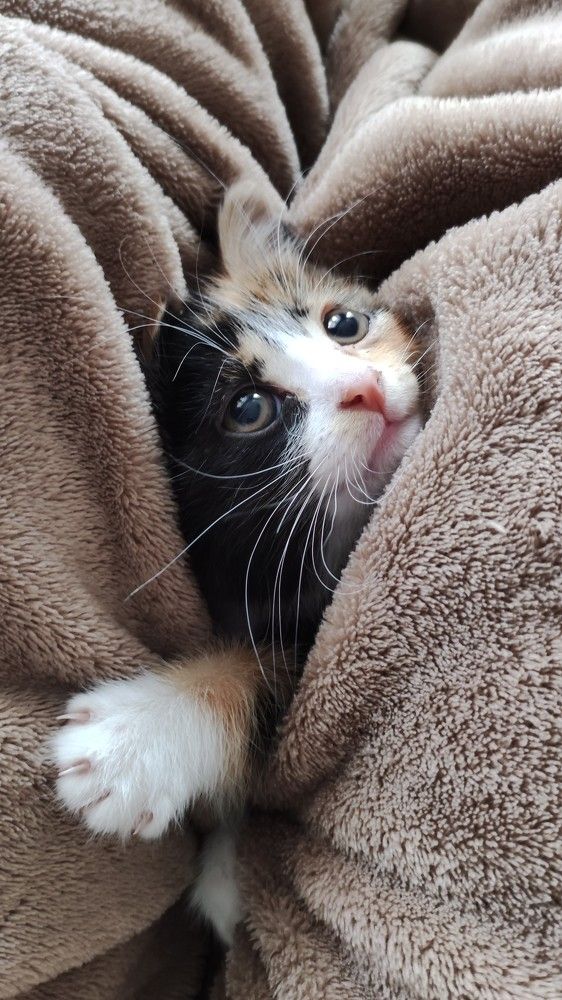 Photograph by Ольга Васильева