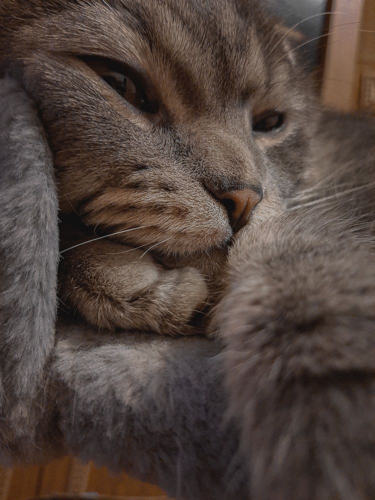 Фотография автора Даниил Барченко