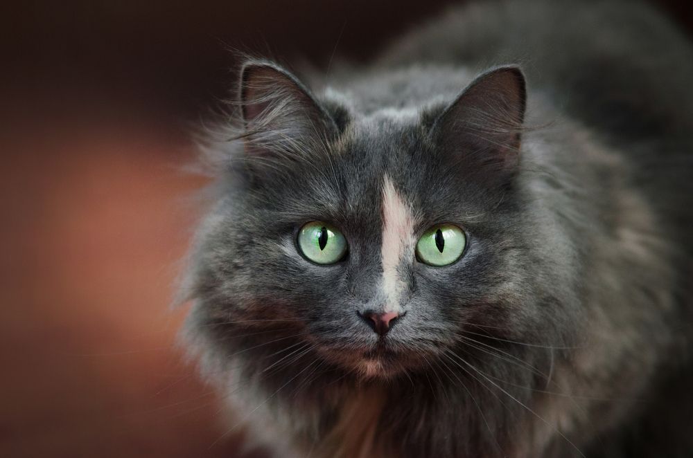 Photograph by Марина Шишкина