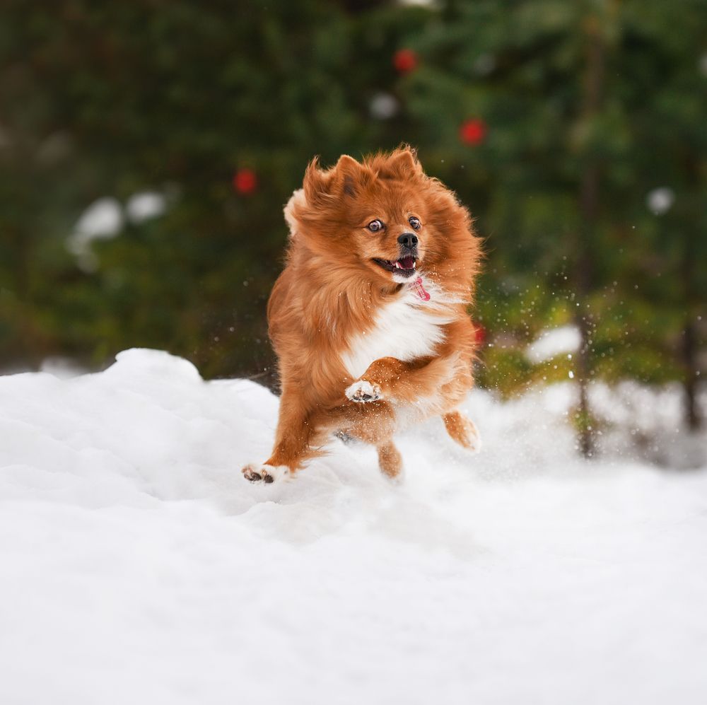 Photograph by Марина Шишкина