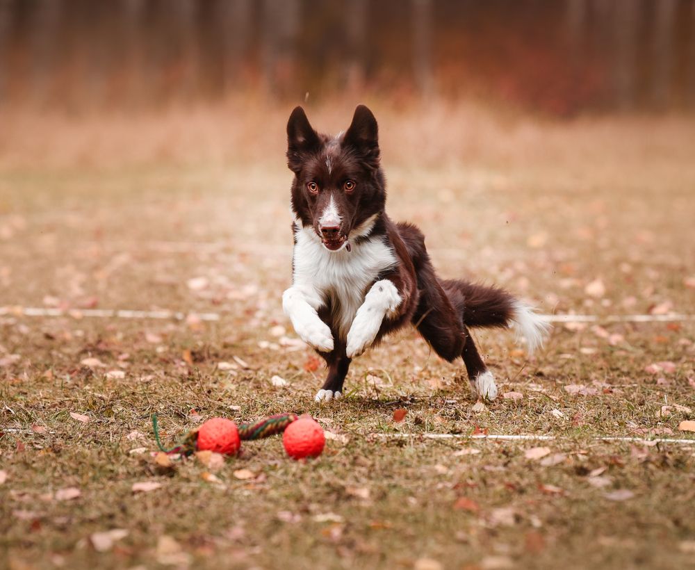 Photograph by Марина Шишкина