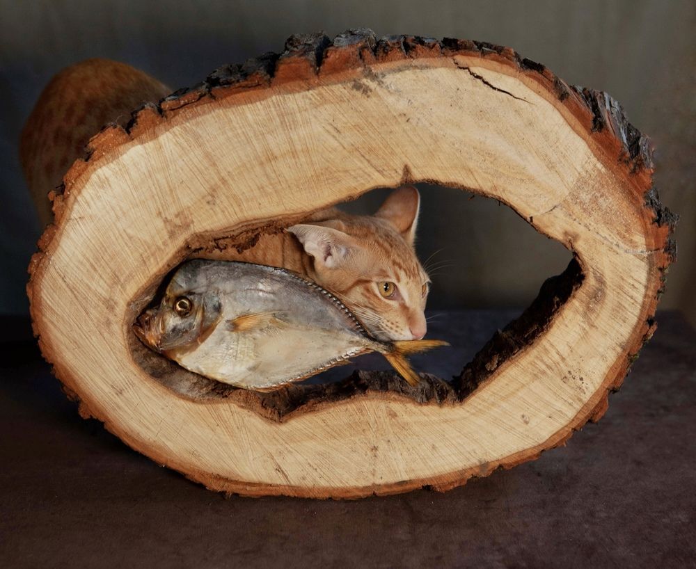 Фотография автора Galina Sa