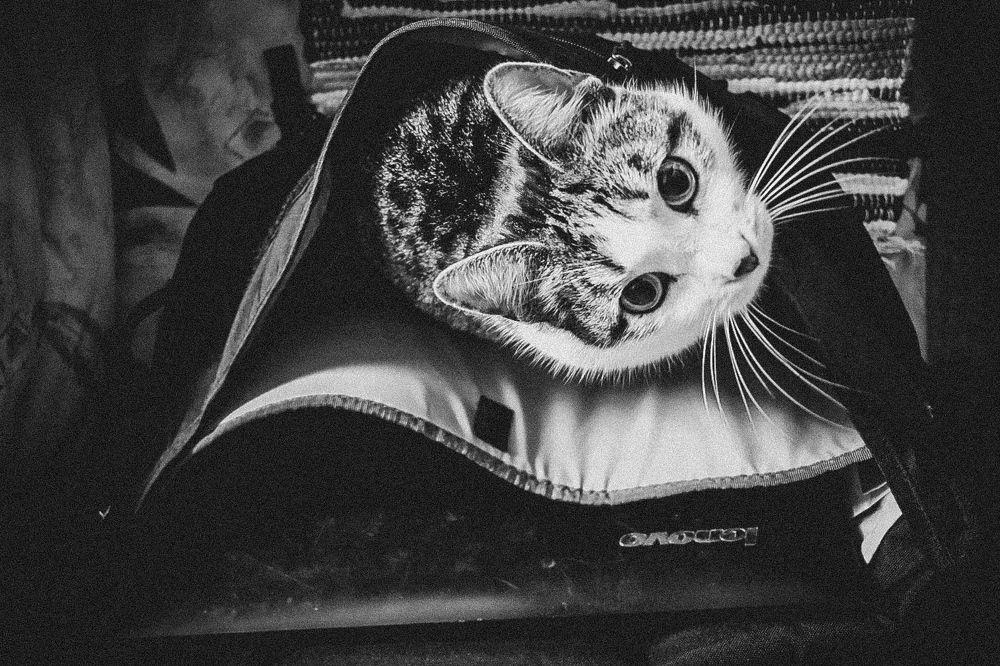 Photograph by Ольга Пономарева