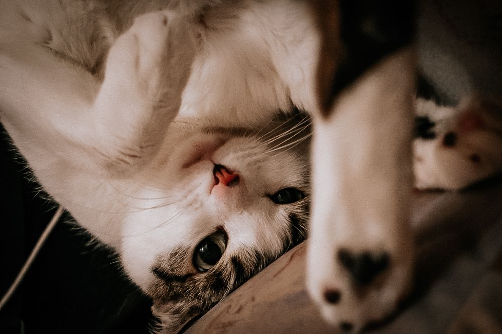 Photograph by Ольга Пономарева