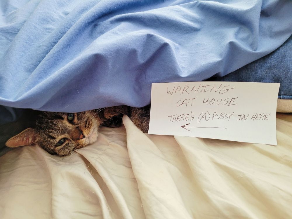Photo #8641542
