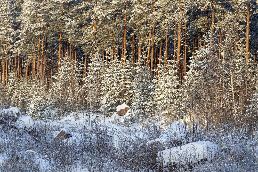 Photograph by Юлия Куликова