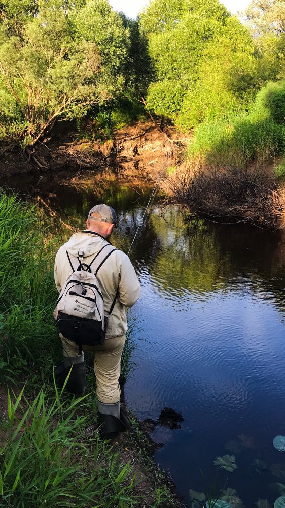 Фотография автора Сергей Ефимов