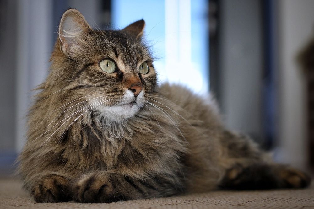 Photograph by Peter Muerth