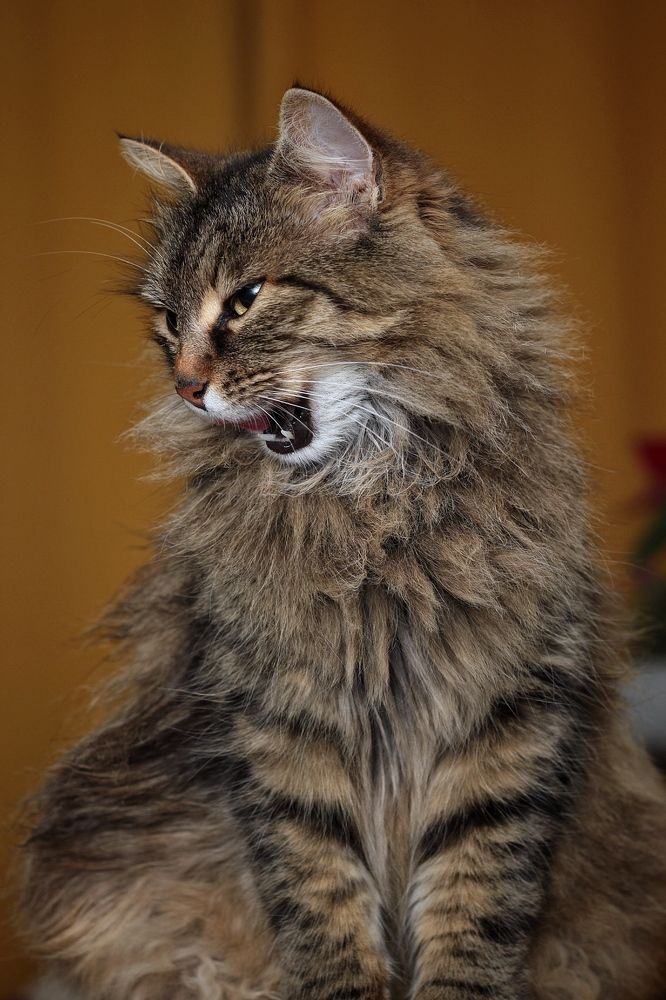 Photograph by Peter Muerth