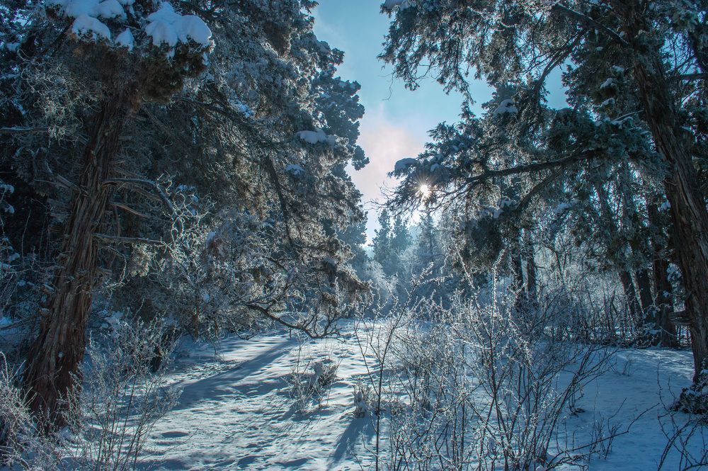 Photograph by Ruslan Ruslan