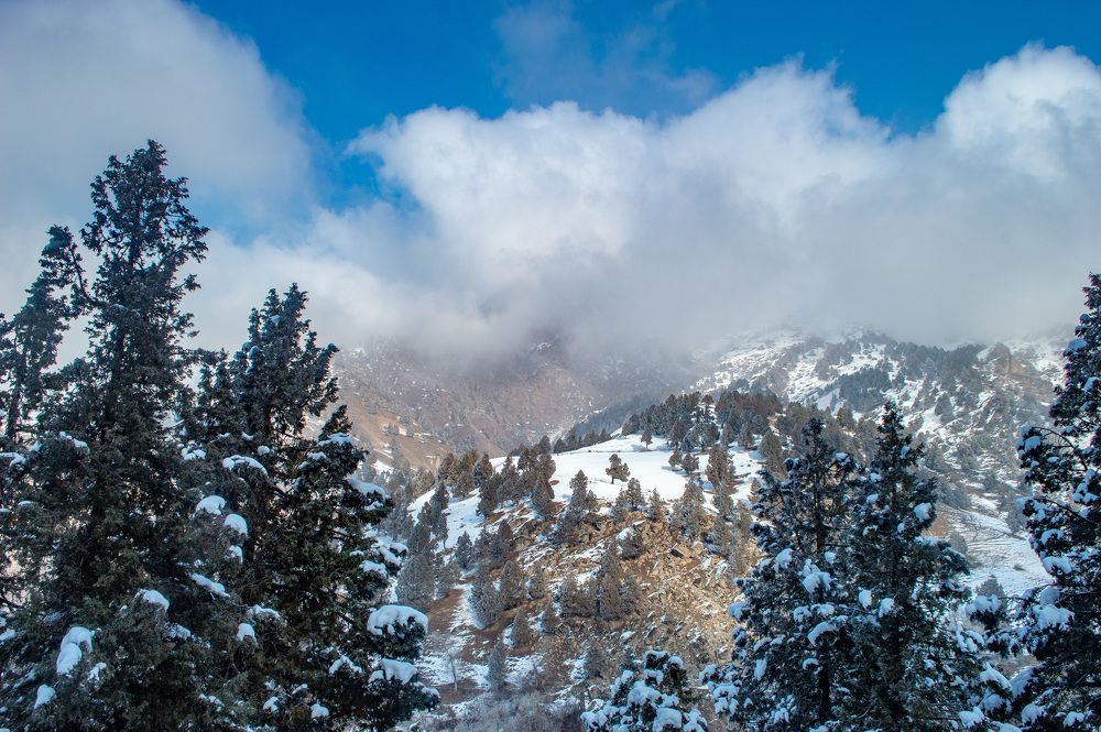 Photograph by Ruslan Ruslan