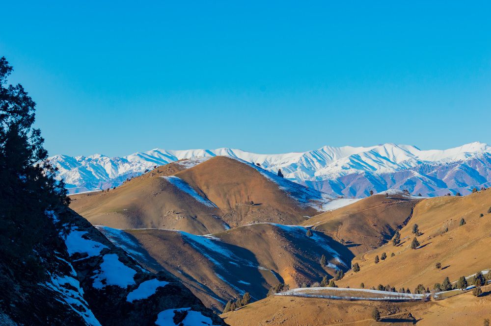 Photograph by Ruslan Ruslan