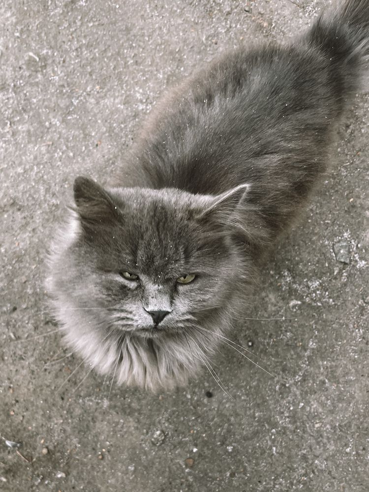 Photograph by Олена Уманцева