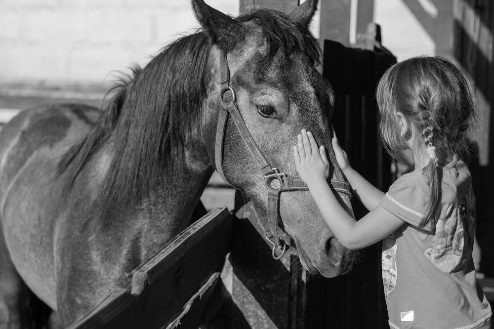 Photograph by Наталья Сорокина