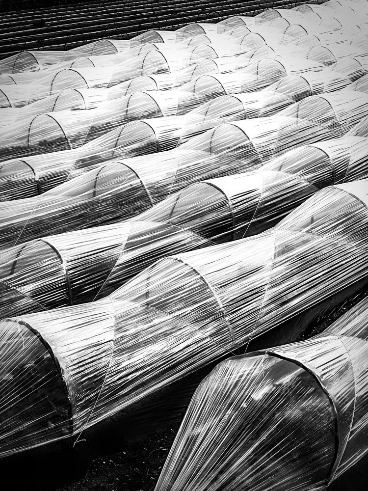 Photograph by Ernest Spiteri Gonzi