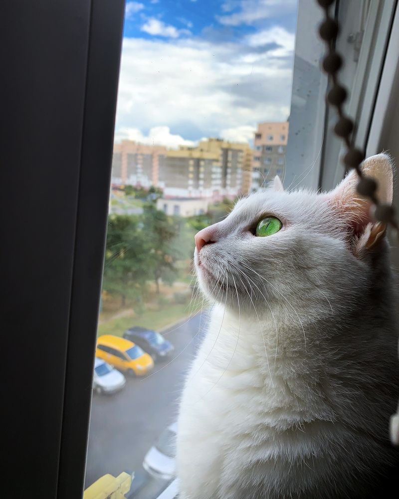 Photograph by Артём Амельянчик