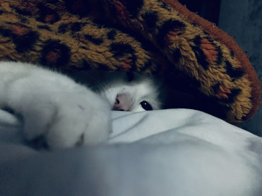 Photograph by Артём Амельянчик