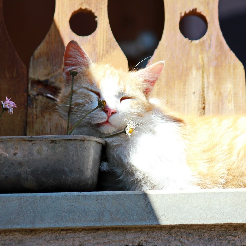 Photograph by Мария Гончарова