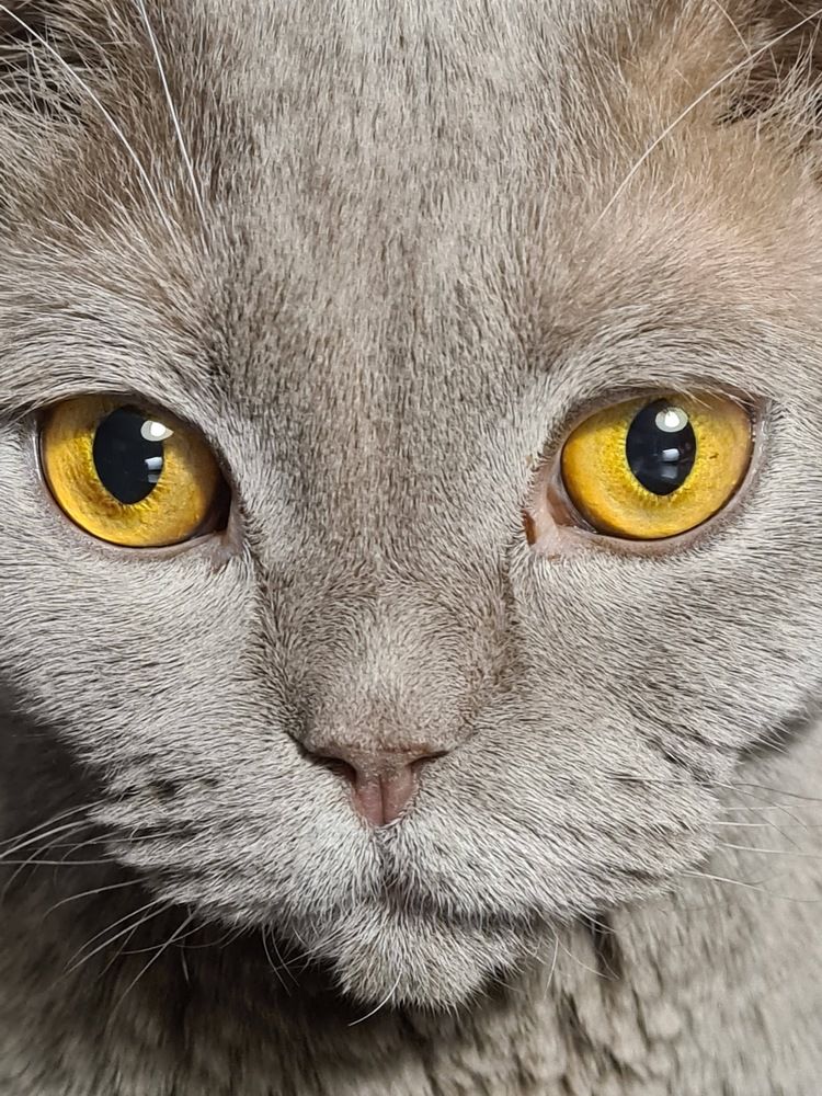 Photograph by Мария Гончарова