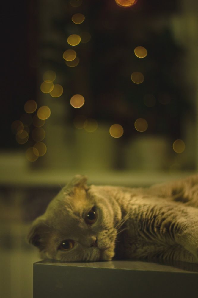 Photograph by Мария Гончарова