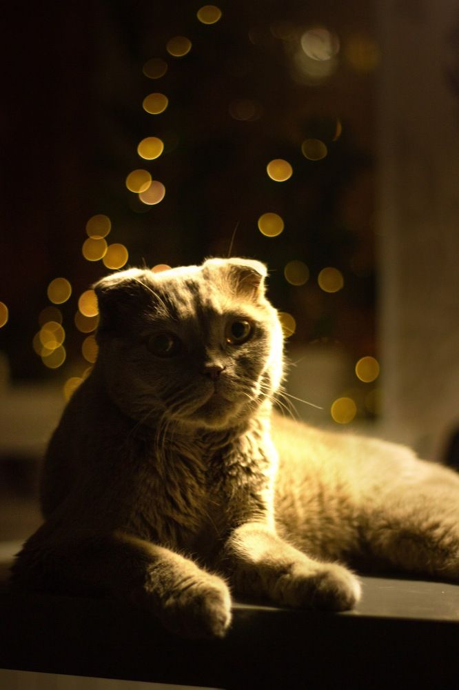 Photograph by Мария Гончарова