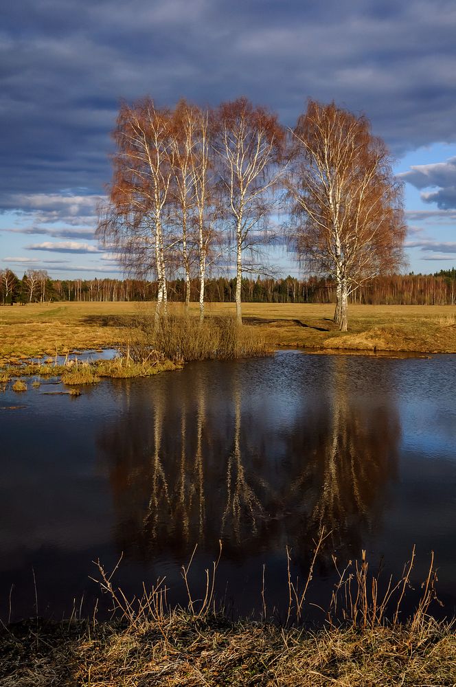 Фотография автора Yakovlev Artur