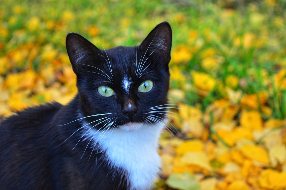 Photograph by Наталья Светлова