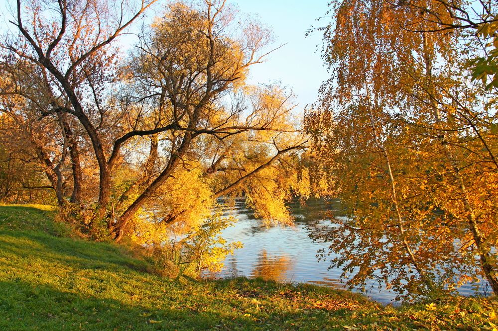 Photograph by Седельникова Юлия